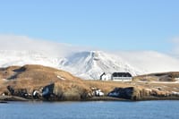 Reykjavík Whales & Viðey Island 1
