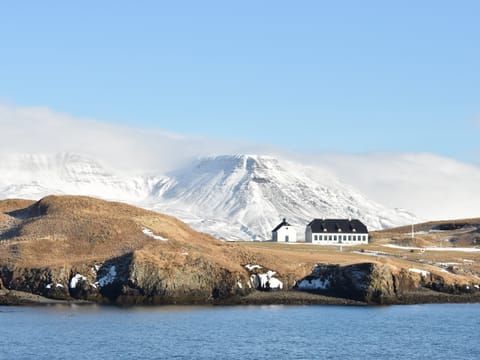 Reykjavík Whales & Viðey Island, photo 2