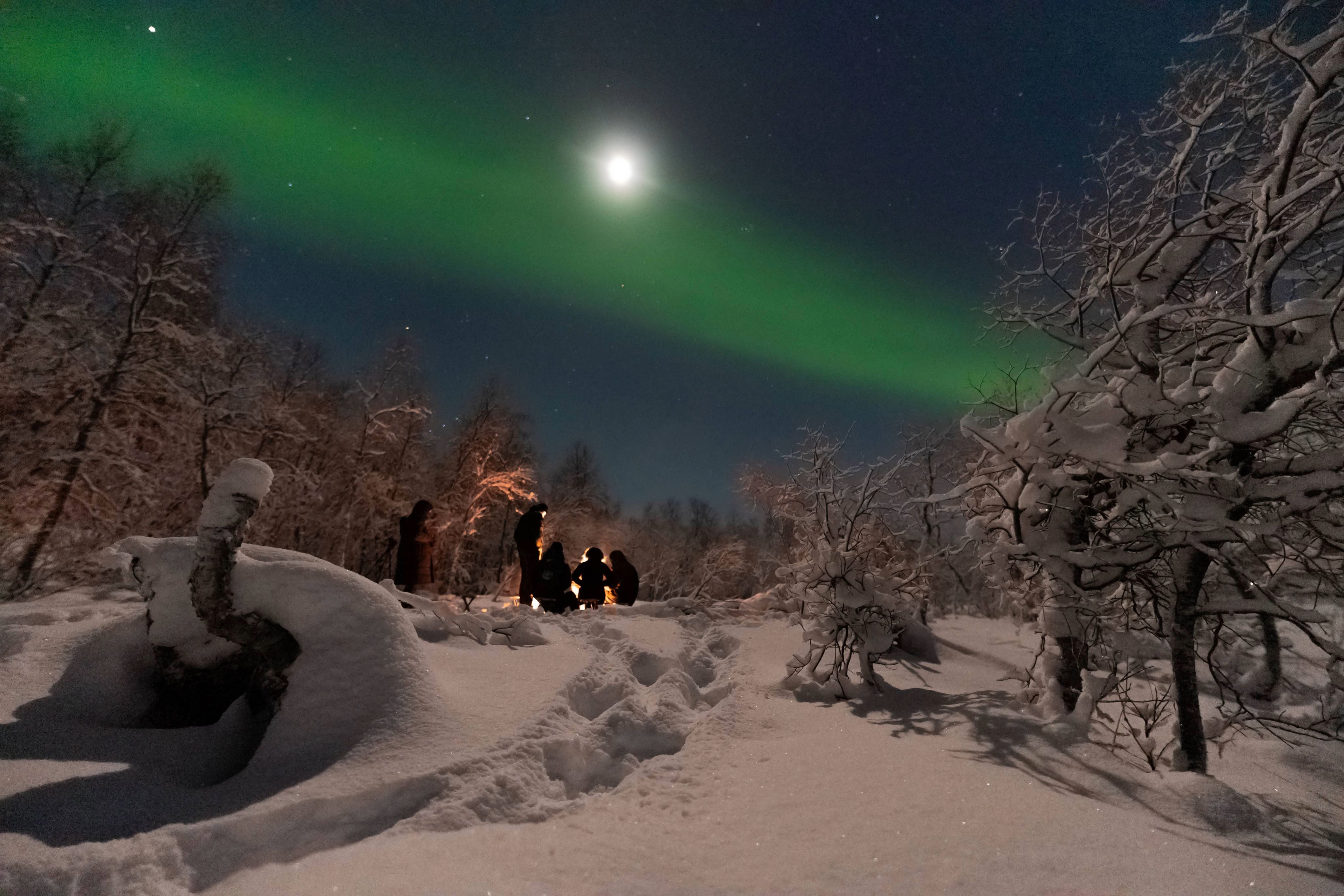 Small group of travelers standing in a snow-covered birch forest watching green Northern Lights under a bright moon in Tromsø.