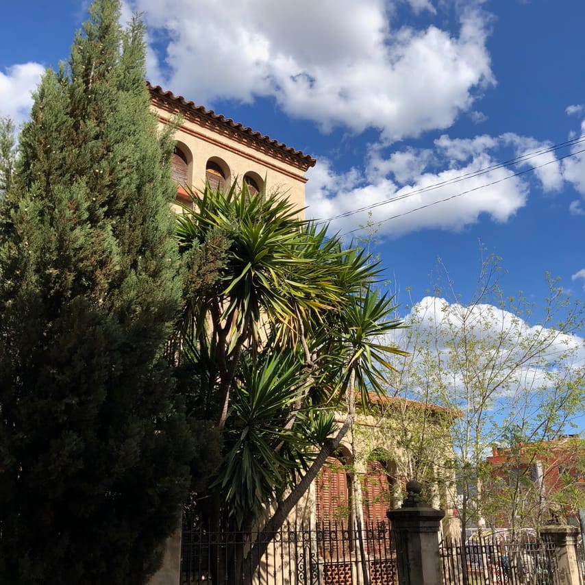 A beautiful house covered by palm trees