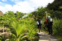 inka trial - inca jungle