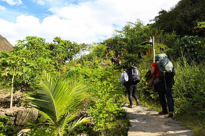 inka trial - inca jungle