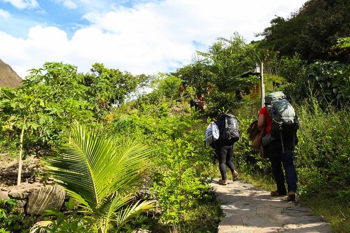 inka trial - inca jungle