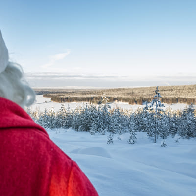 Yksityinen tapaaminen Joulupukin kanssa Rovaniemellä talvella - Image 8