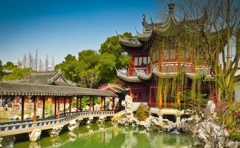 8-Day Customized Shanghai Tour: Explore Ancient and Modern Sights