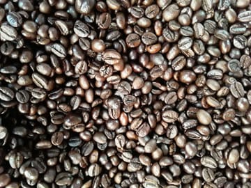 Coffee Tour Vietnam