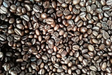 Coffee Immersion Tour in Hanoi, Vietnam: From Farm to Cup