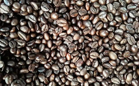 Coffee Immersion Tour in Hanoi, Vietnam: From Farm to Cup
