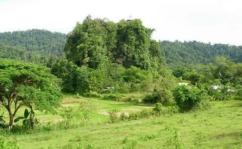 Underground River and Ugong Rock Cave Adventure in Puerto Princesa