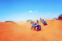 2-Hour Quad Biking Adventure in the Palm Oasis 6