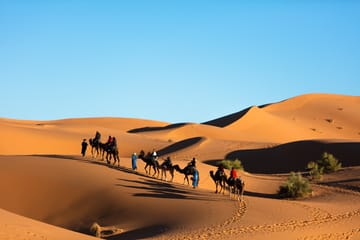 Luxury 3-Day Desert Adventure from Marrakech to Fes