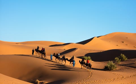 Luxury 3-Day Desert Adventure from Marrakech to Fes