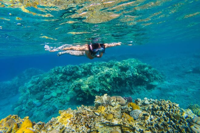 Tiran Island Full Day Snorkeling Sea trip, Lunch With Transfer - Sharm El Sheikh