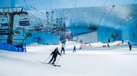 Private Dubai City Tour with Ski Dubai-Snow Plus Pass 4
