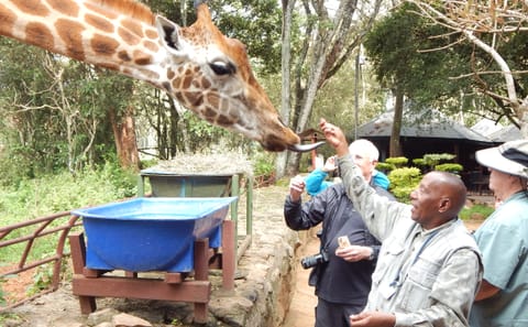 9 Days / 8 Nights – Kenya Safari Road Package