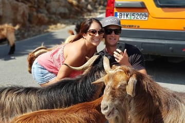 Private Half-Day ATV Safari Tour in Agios Nikolaos, Greece
