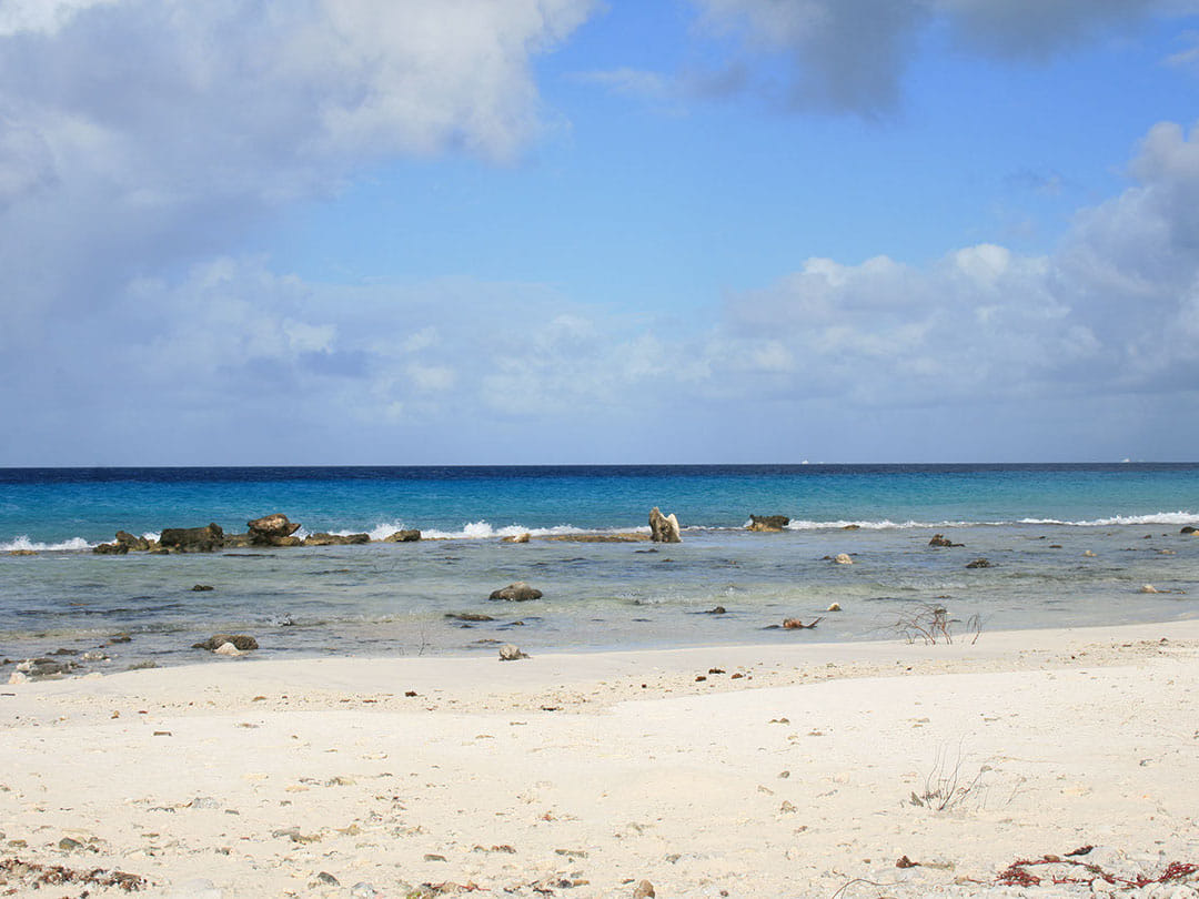 South Highlight Tour with Local Guide