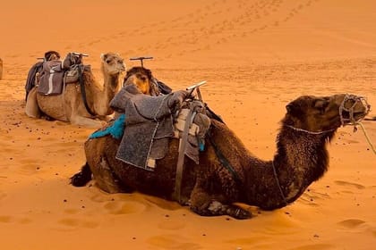 Marrakech Desert Tours 3 Days – 3 Days Marrakech Desert Tour