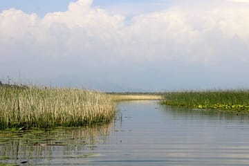 Short Skadar Lake Boat Tour to Morača River with Drinks