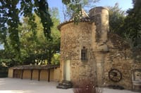 Avignon Popes Palace and Châteauneuf du Pape Wine tour 2