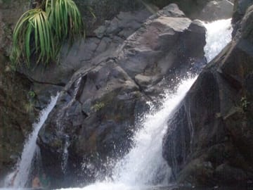 Private Day Tour to Estrella Falls from Puerto Princesa