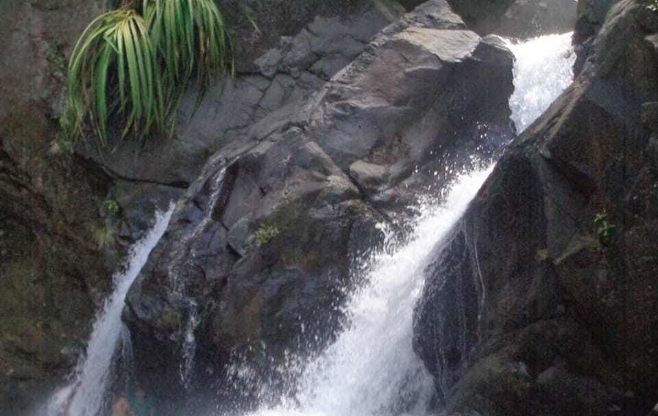 Private Day Tour to Estrella Falls from Puerto Princesa
