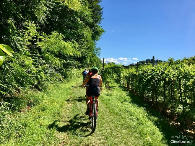 E-Bike Tour and Wine Tasting from Bardolino photo 2
