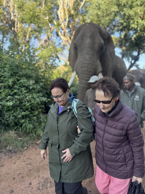 Elephant Sanctuary Tour from Johannesburg 4
