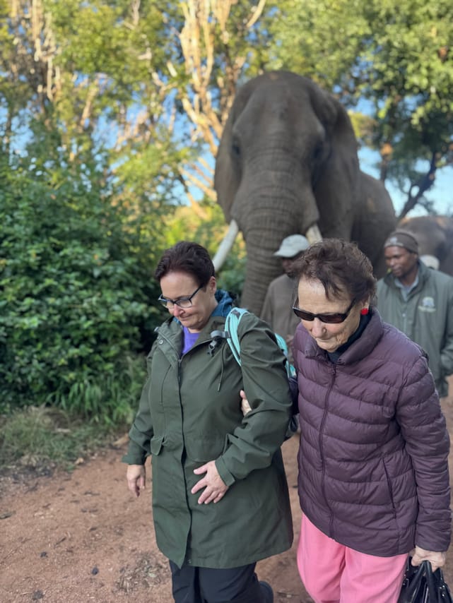 Elephant Sanctuary Tour from Johannesburg 4