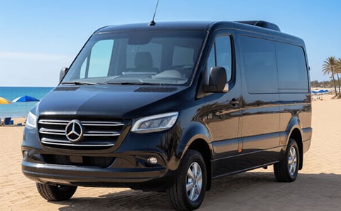 Mykonos 4-Hour Van Tour to Ano Mera Village and Kalafati Beach