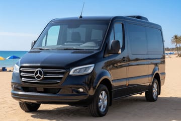 Mykonos 4-Hour Van Tour to Ano Mera Village and Kalafati Beach