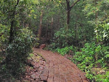 Pune to Koyna Jungle Expedition and Cultural Tour