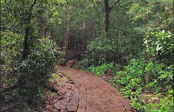 Pune to Koyna Jungle Expedition