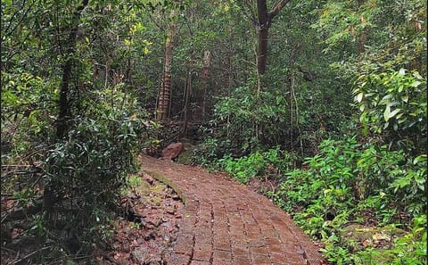 Pune to Koyna Jungle Expedition and Cultural Tour
