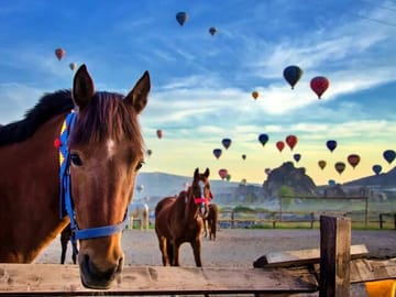 Cappadocia Hot Air Balloon Tour with Hotel Transfers