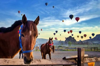 Balloon Watching Tour in Cappadocia with Hotel Pick-Up & Drop-Off