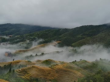Misty Rice Terraces
