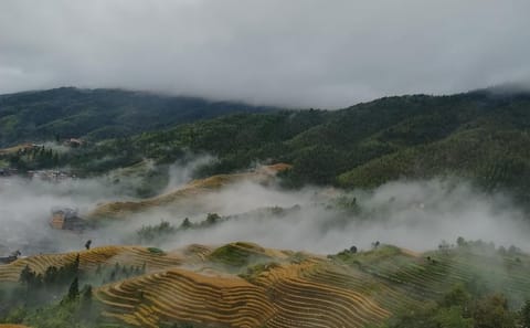 Private Day Tour of Longji Rice Terraces and Minority Village in Guilin