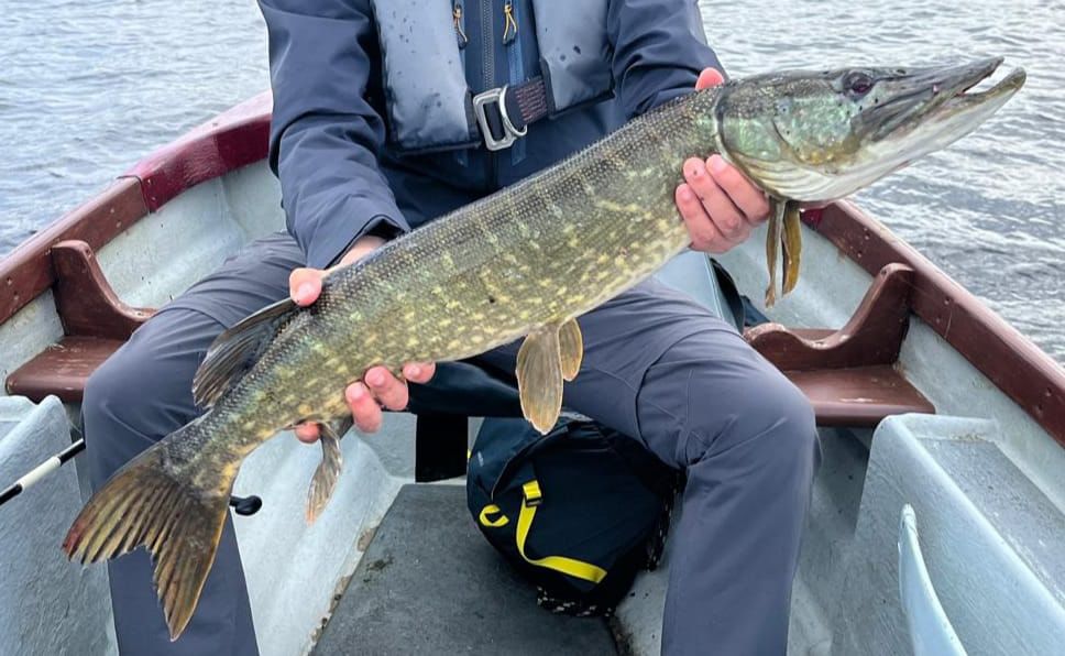 Pike fishing by boat on Lough Corrib, 2 fishermen. Galway. Private guided. French/Eng