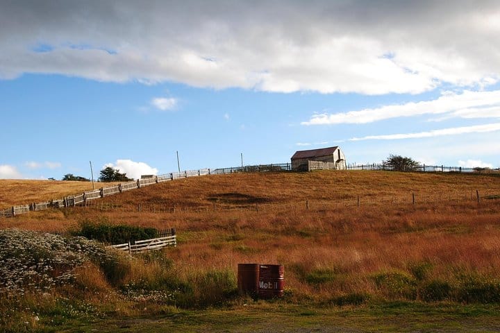 Tierra del Fuego Eco-Adventure: Beagle Channel Canoeing, Penguin Colony and Gable Island 8