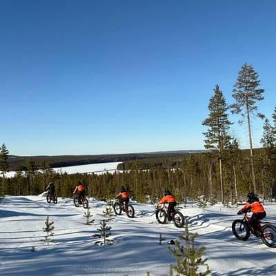 Electric Fat Biking at a Reindeer Farm in Rovaniemi - Image 15