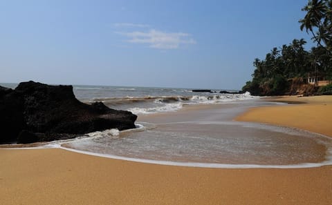 Cultural Tour of Alappuzha, Bekal, and Goa Velha