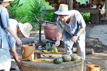 Educational Tour of Elephant Sanctuary and Sticky Waterfall in Thailand