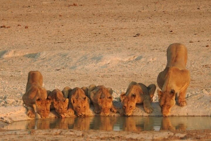 2 nights Private Kruger Park Safari and Panorama Route