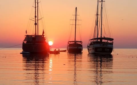 Sunset Dinner Cruise in Alanya with Soft Drinks and Transfer