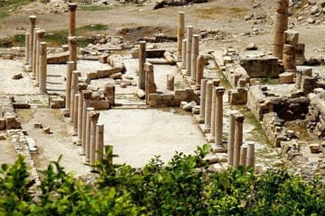 Private Cultural Tour of Jerash and Ajloun from Amman