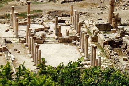 Private Tour to Jerash, Ajloun, and Pella from Amman