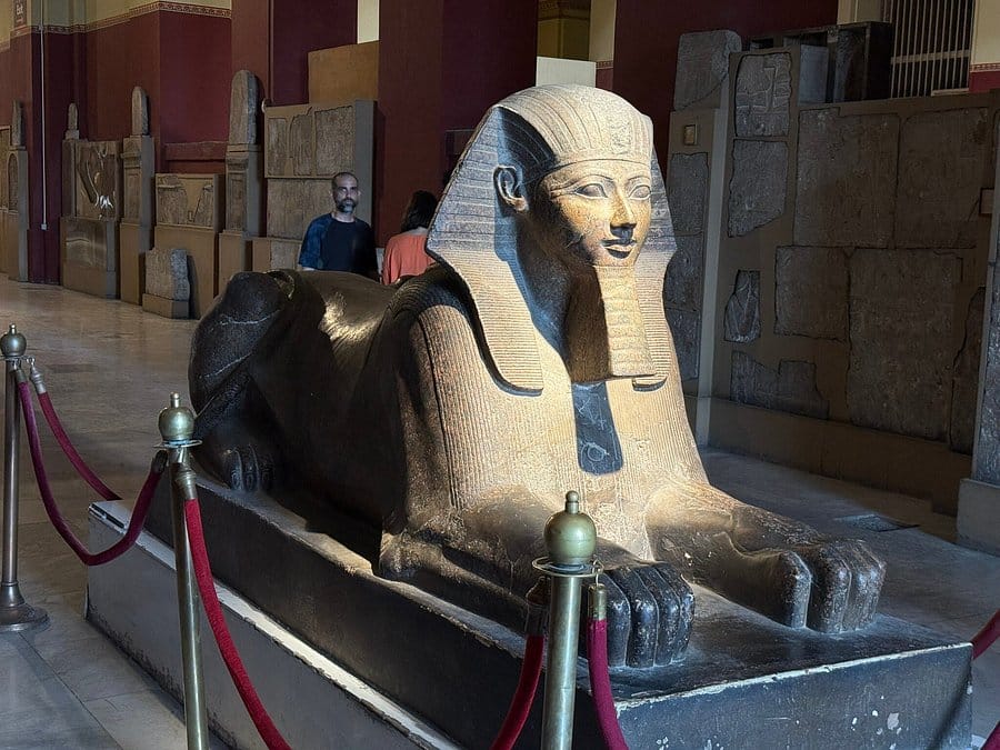 A week in Sharm el sheikh Egypt