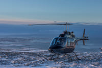 Reykjavík Whales & Helicopter Tour 1