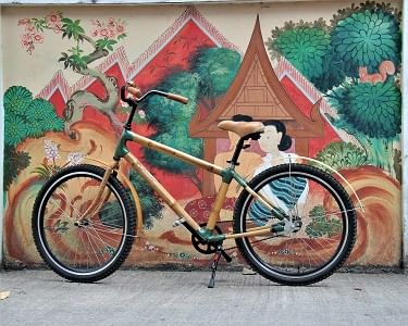 Our bamboo beauty parked before a colourful wall